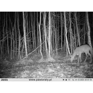 Fotopułapka Zeiss Secacam 3 NOWOŚĆ 2025