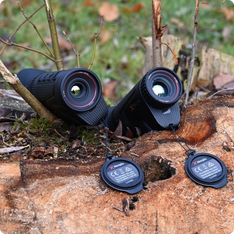 54d021459f5a1342a4d6328af2b96aaf