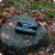 31.webp