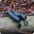 33.webp